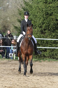 Bild 1544 - WBO-Turnier am 9.4.11